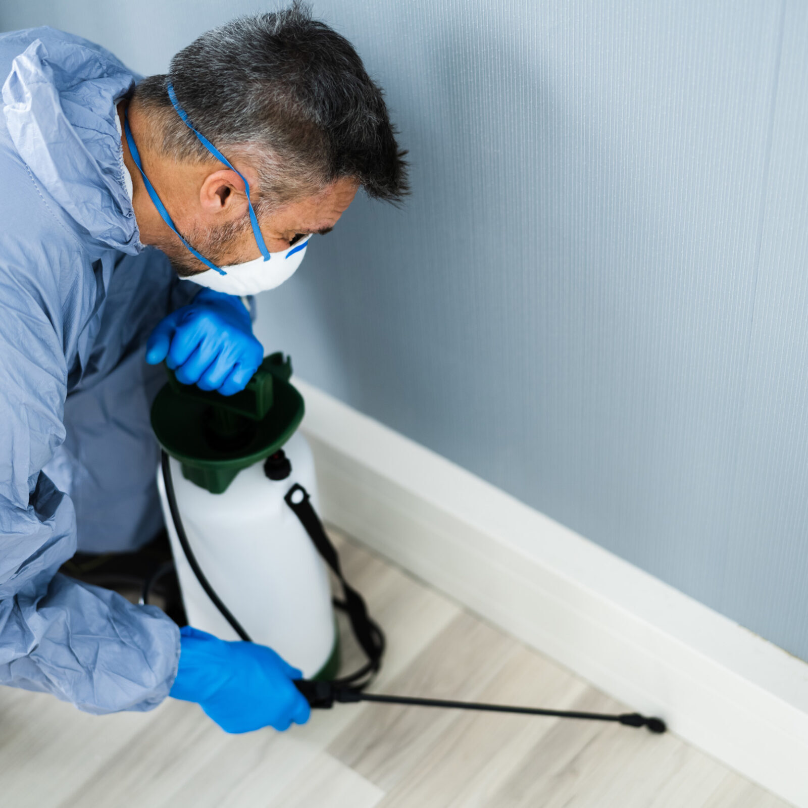 Ungeziefer in der Wohnung: Mann mit kurzen grauen Haaren traegt einen hellblauen Schutzanzug, eine Atemmaske und blaue Handschuhe. Er kniet auf einem hellen Boden vor einer hellblauen Wand mit weissen Sockelleisten. Vor ihm steht der milchige Plastikbehaelter eines Druckspruehers, den er mit der linken Hand festhaelt. In der rechten Hand haelt er die Lanze und richtet die Duese auf die Flaeche zwischen Boden und Leiste.